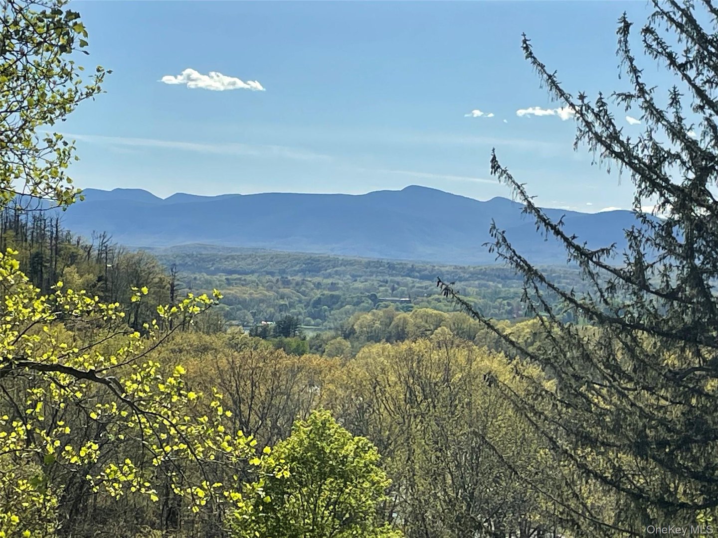 4317 Ny 23 Photo 8