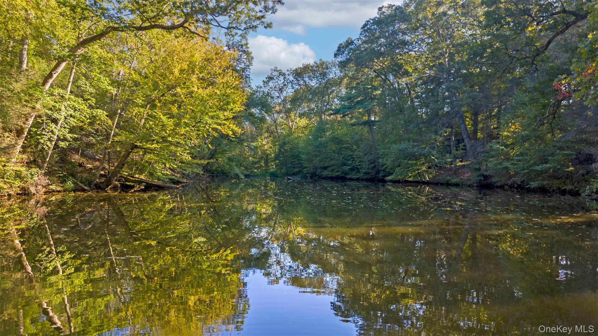 12 Bishop Park Road Photo 40