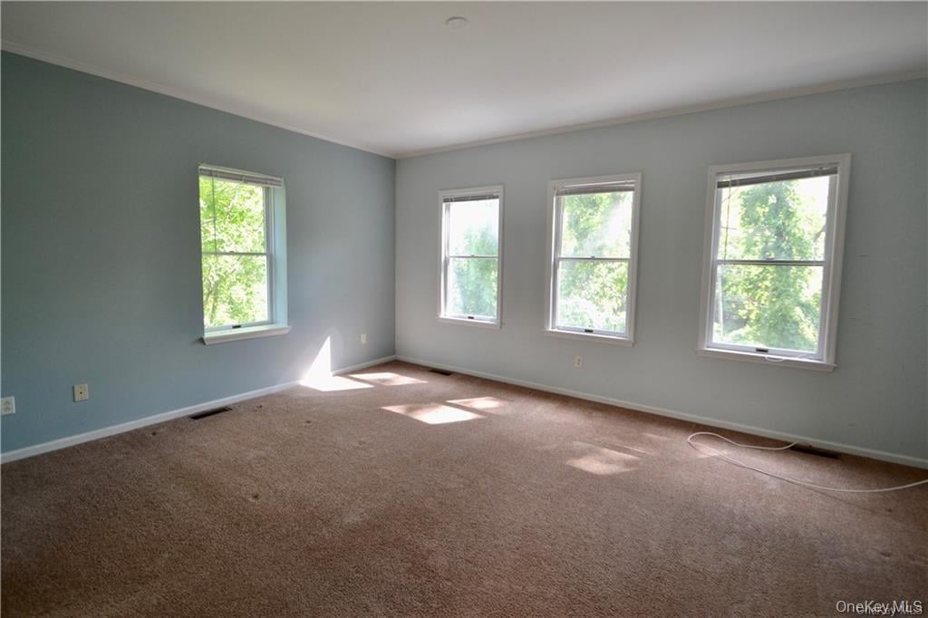 111 Gair Street Photo 7