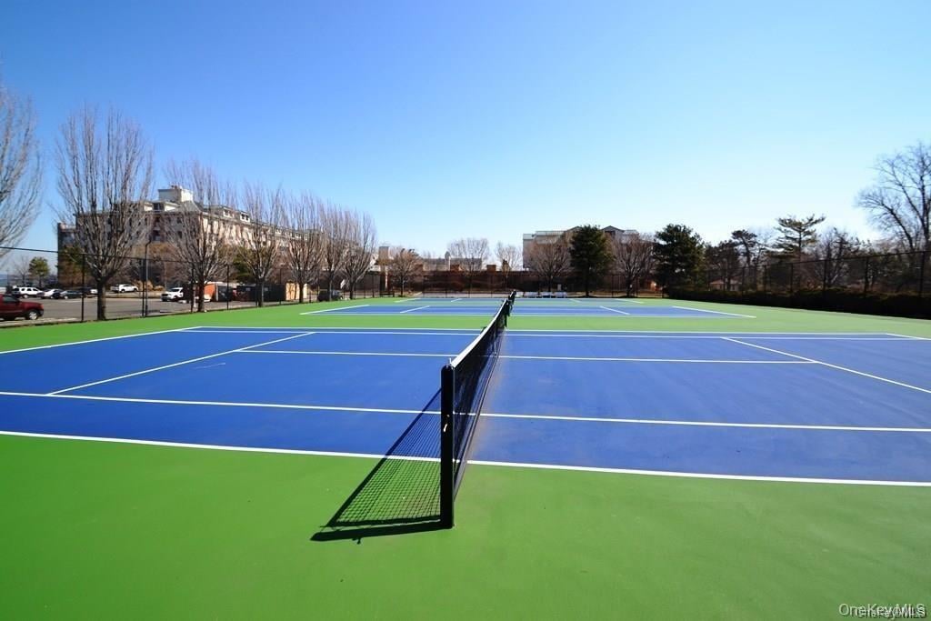 111 Gair Street Photo 31