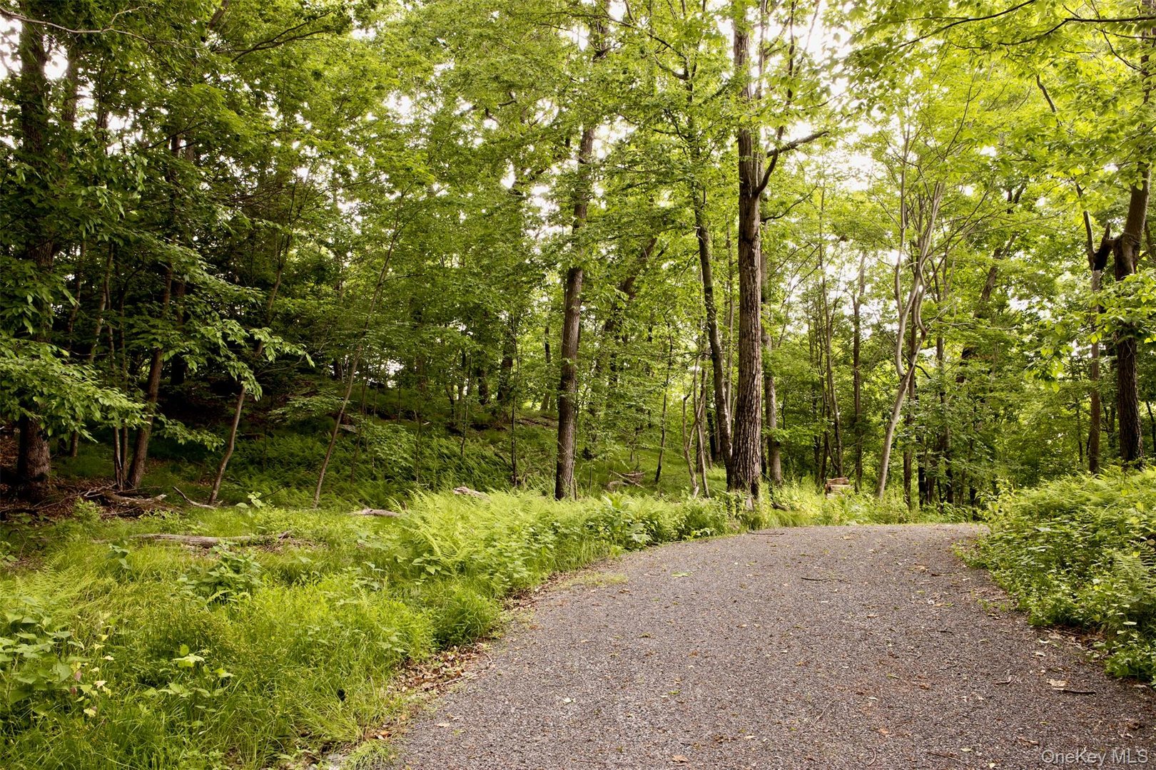 49 Sky Top Road Photo 40