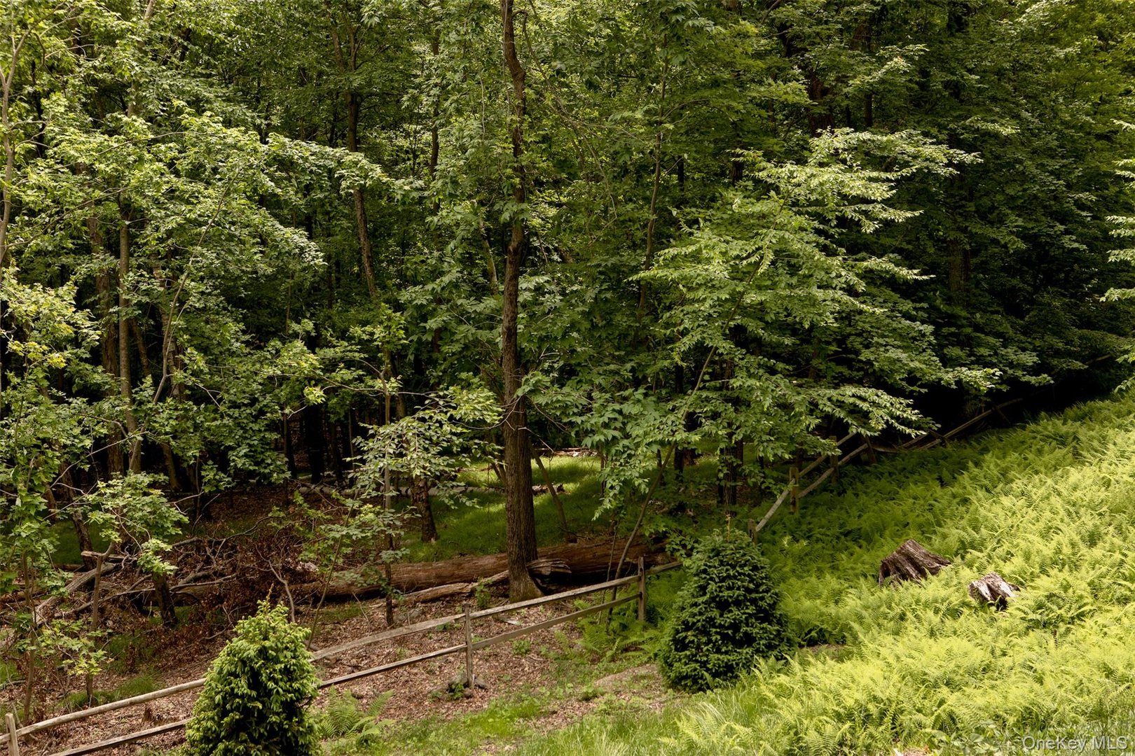 49 Sky Top Road Photo 2