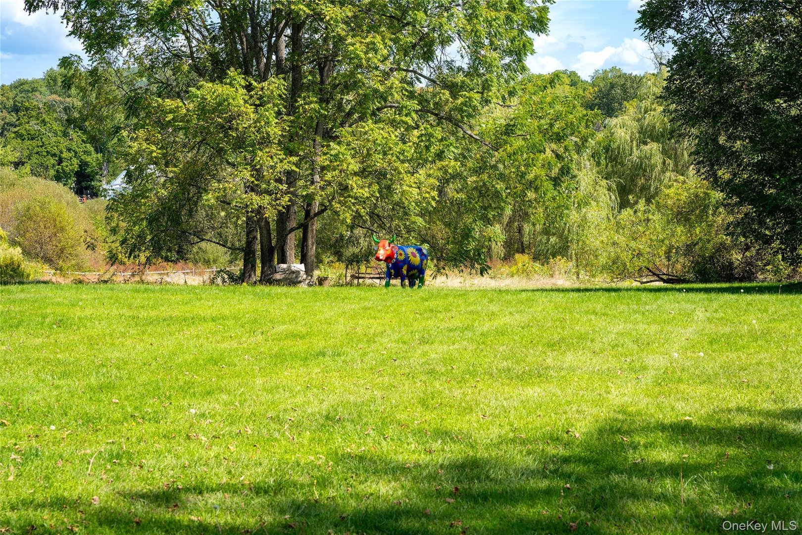 11 Carriage House Road Photo 38