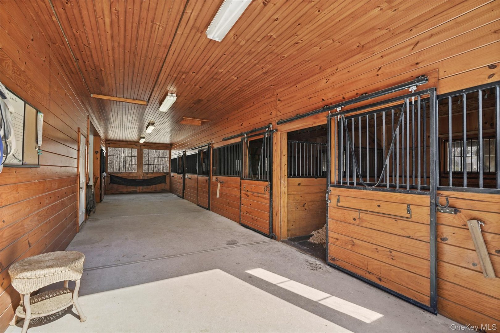 175 Finch Road Photo 31