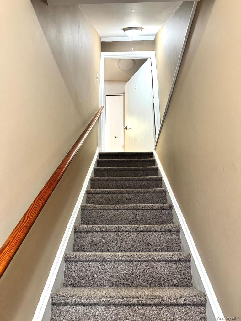 11 Livingston Manor #11 Photo 2