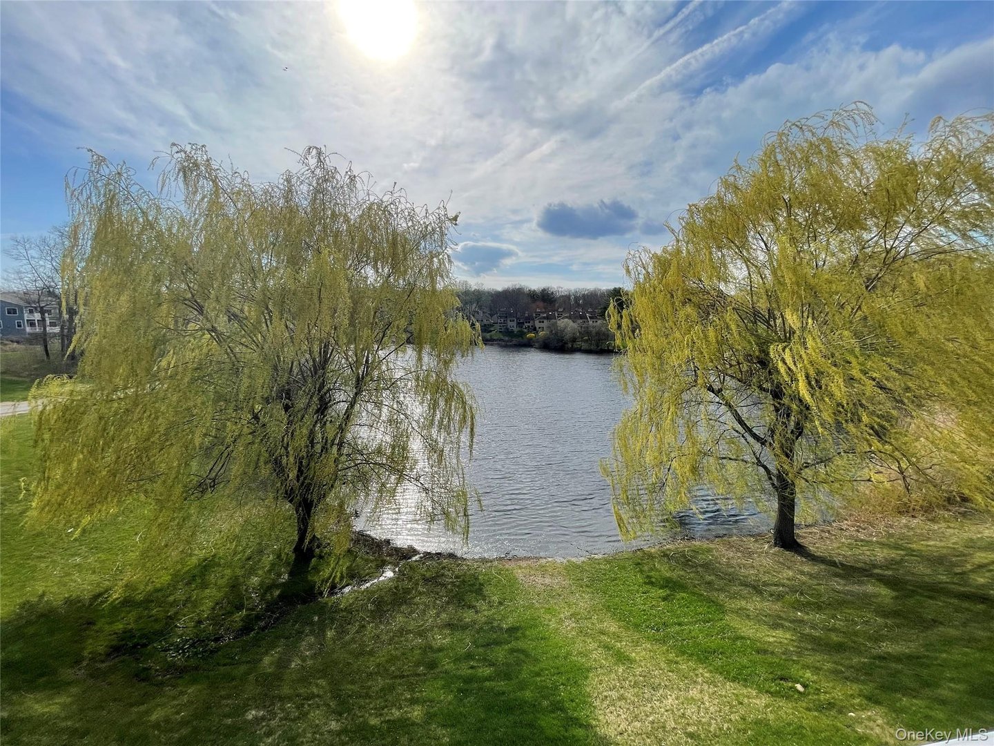 903 Oakridge Common Photo 4