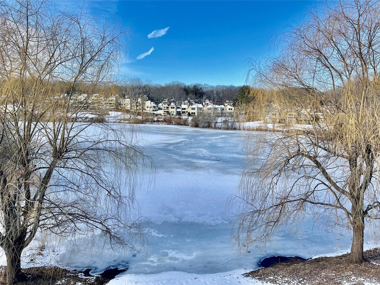 903 Oakridge Common Photo 1