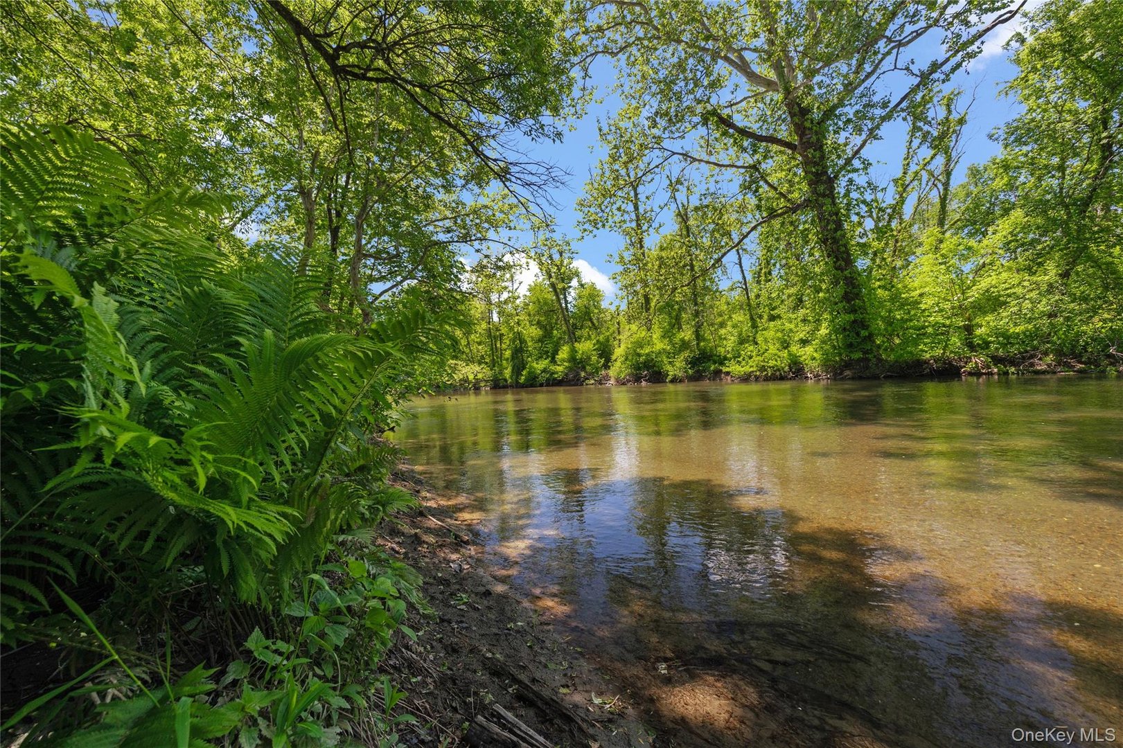 202 Buckwheat Bridge Photo 4