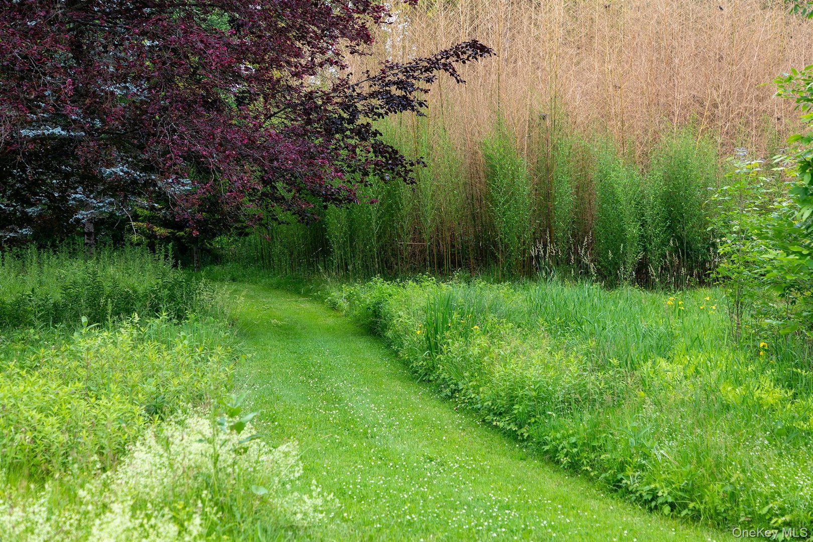 202 Buckwheat Bridge Photo 41