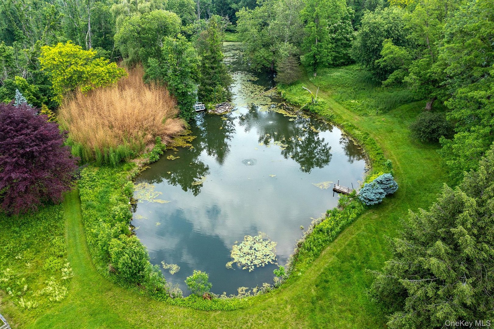 202 Buckwheat Bridge Photo 42