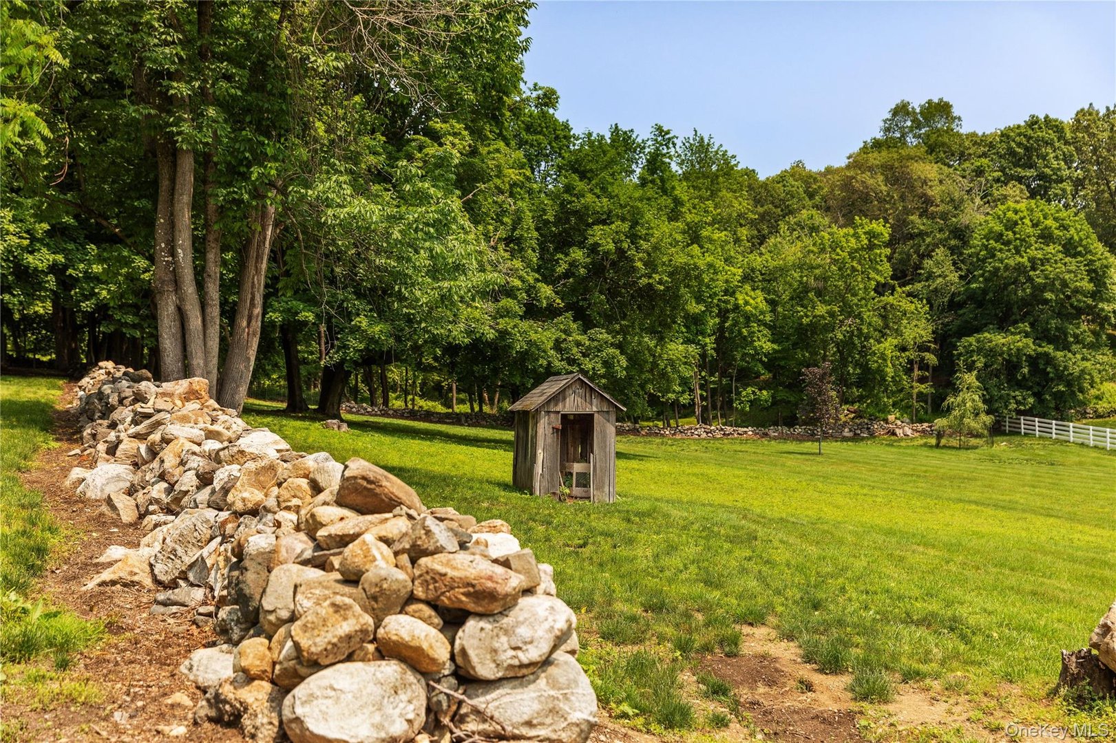 310 Mount Holly Road  #A Photo 28