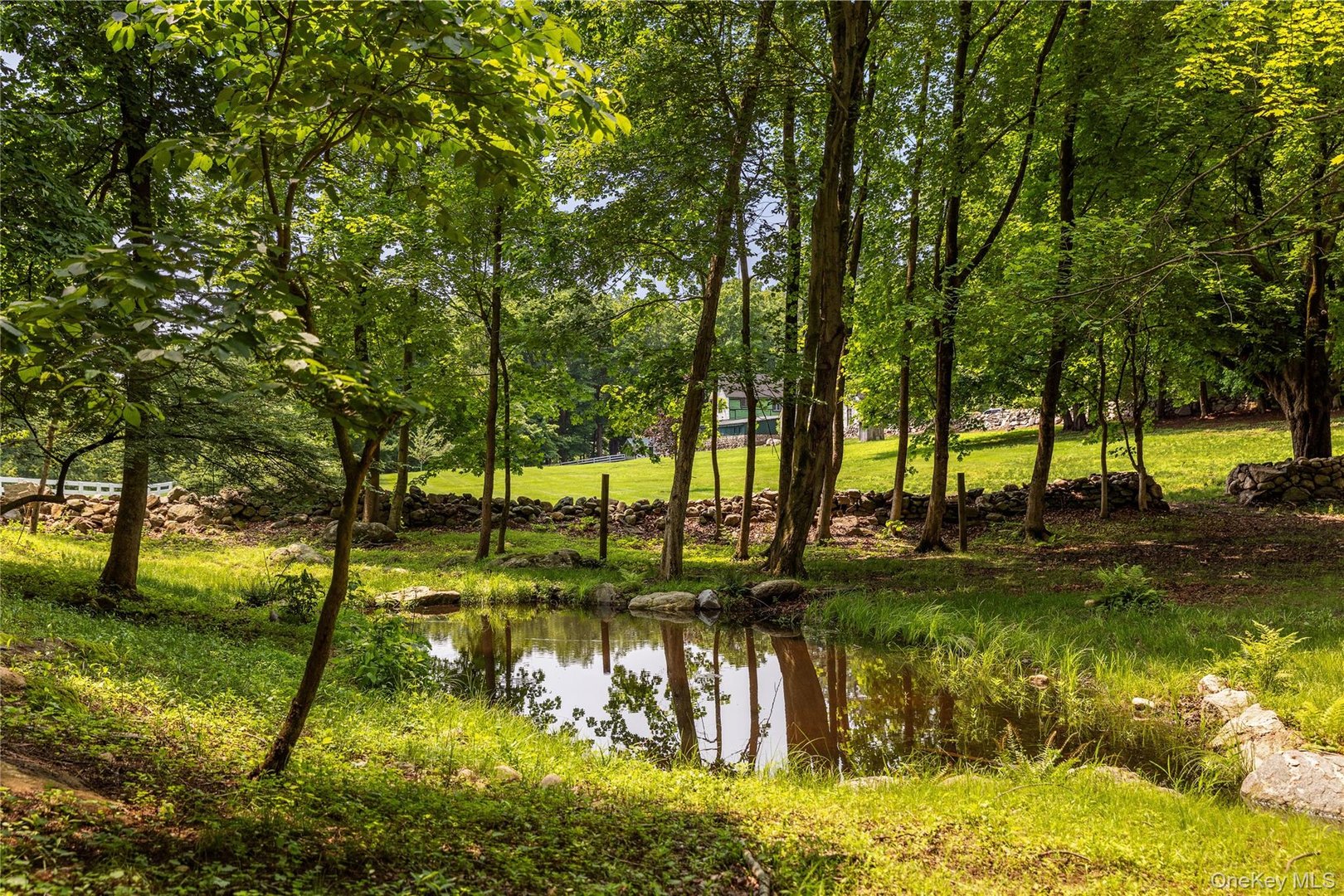 310 Mount Holly Road  #A Photo 27