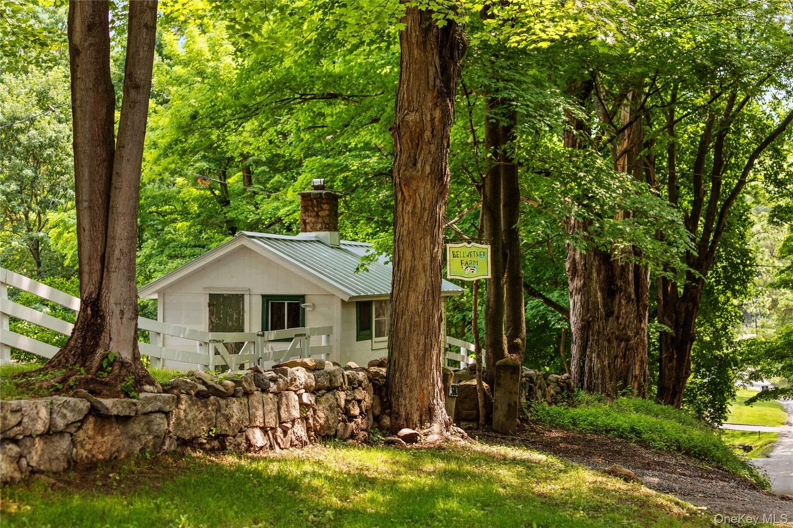 310 Mount Holly Road  #A Photo 8