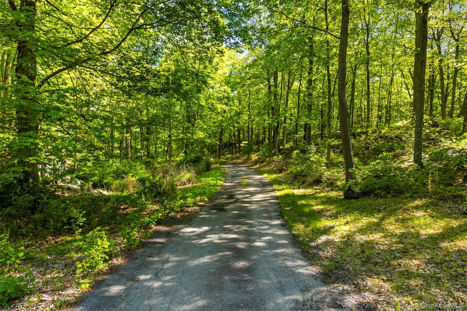 371-383 Pea Pond Road Photo 9