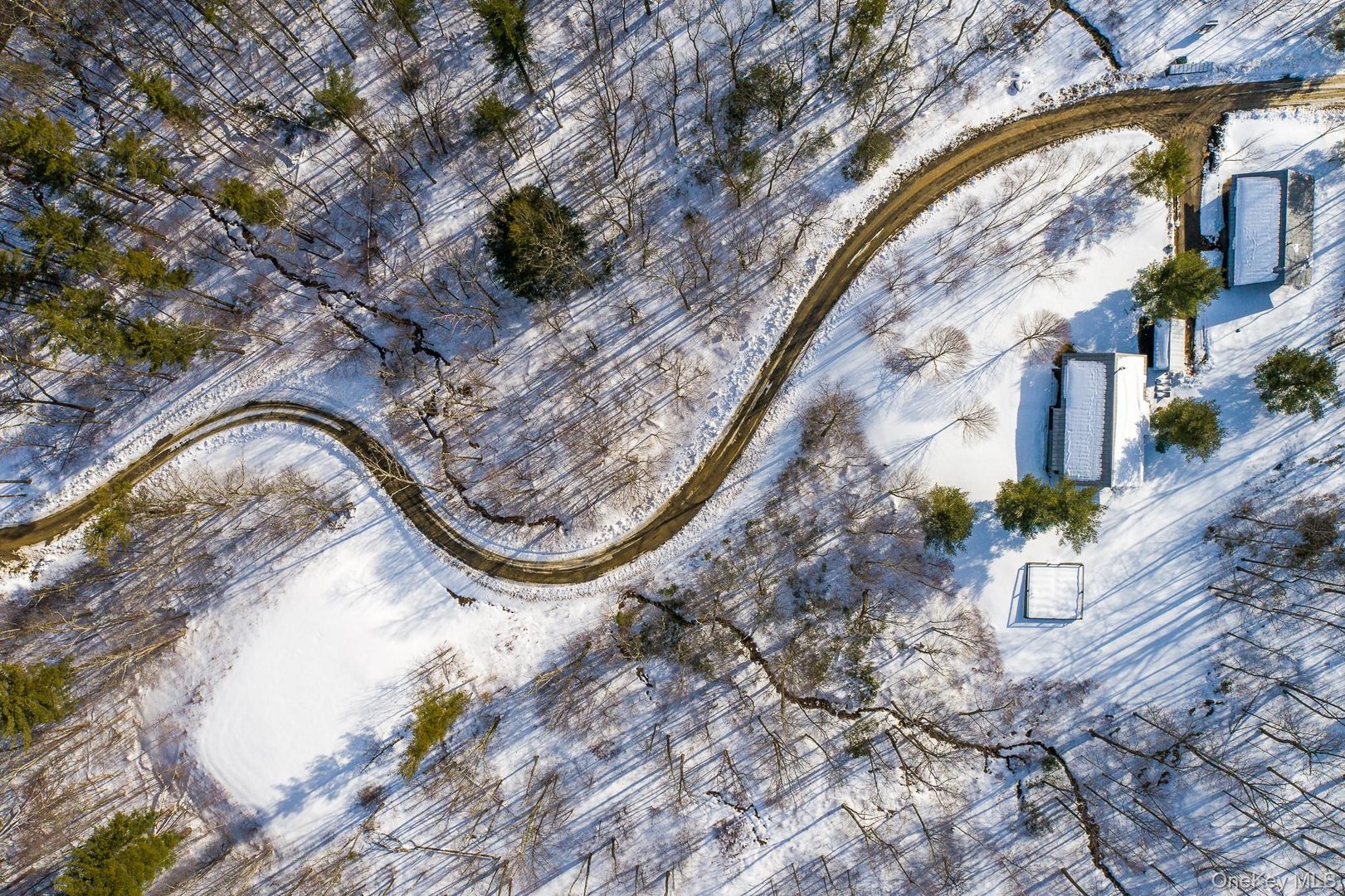 890 Bald Mountain Road Photo 4