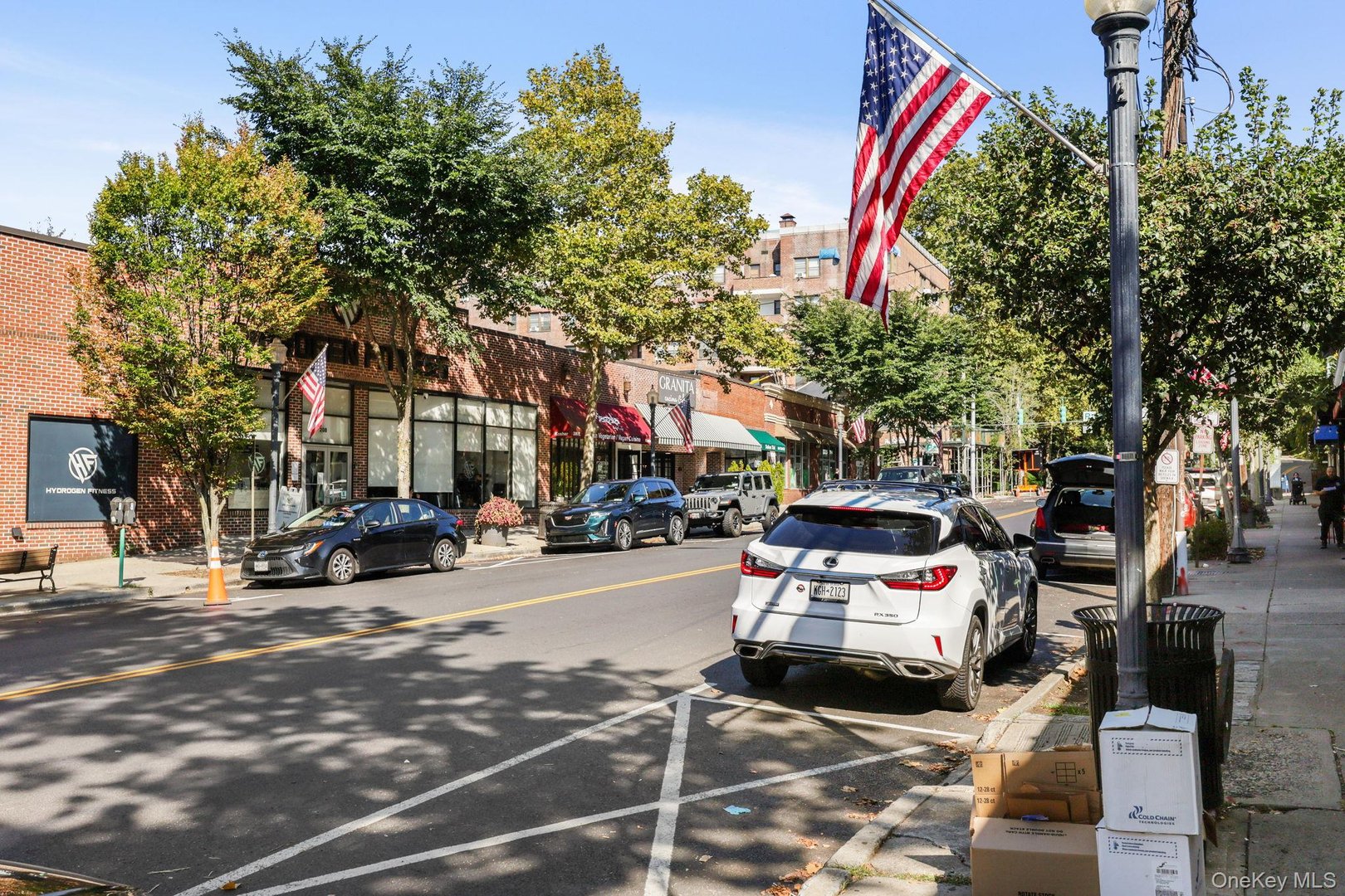 30 E Hartsdale Avenue  #4D Photo 36
