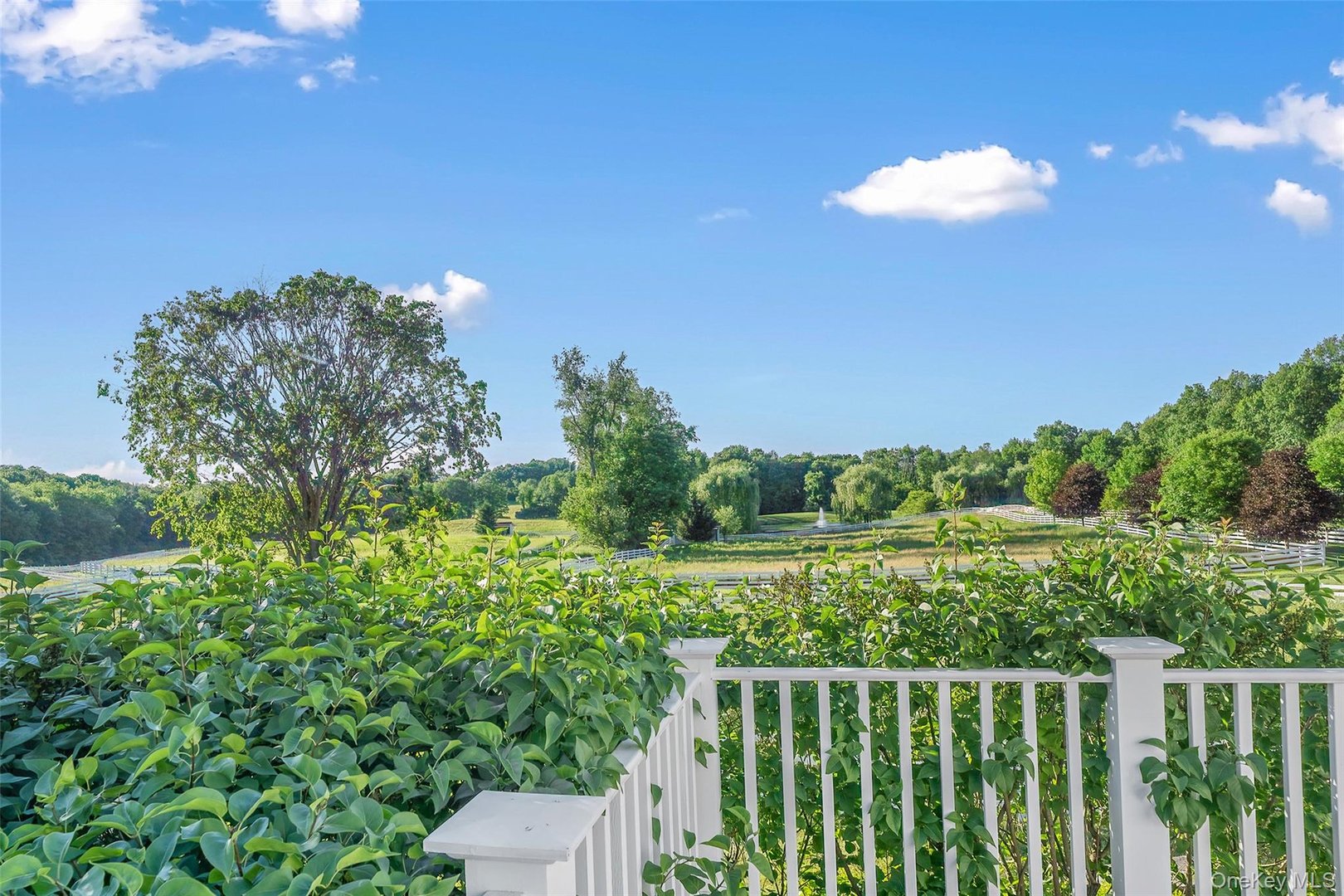 47 White Bridge Rd Photo 41