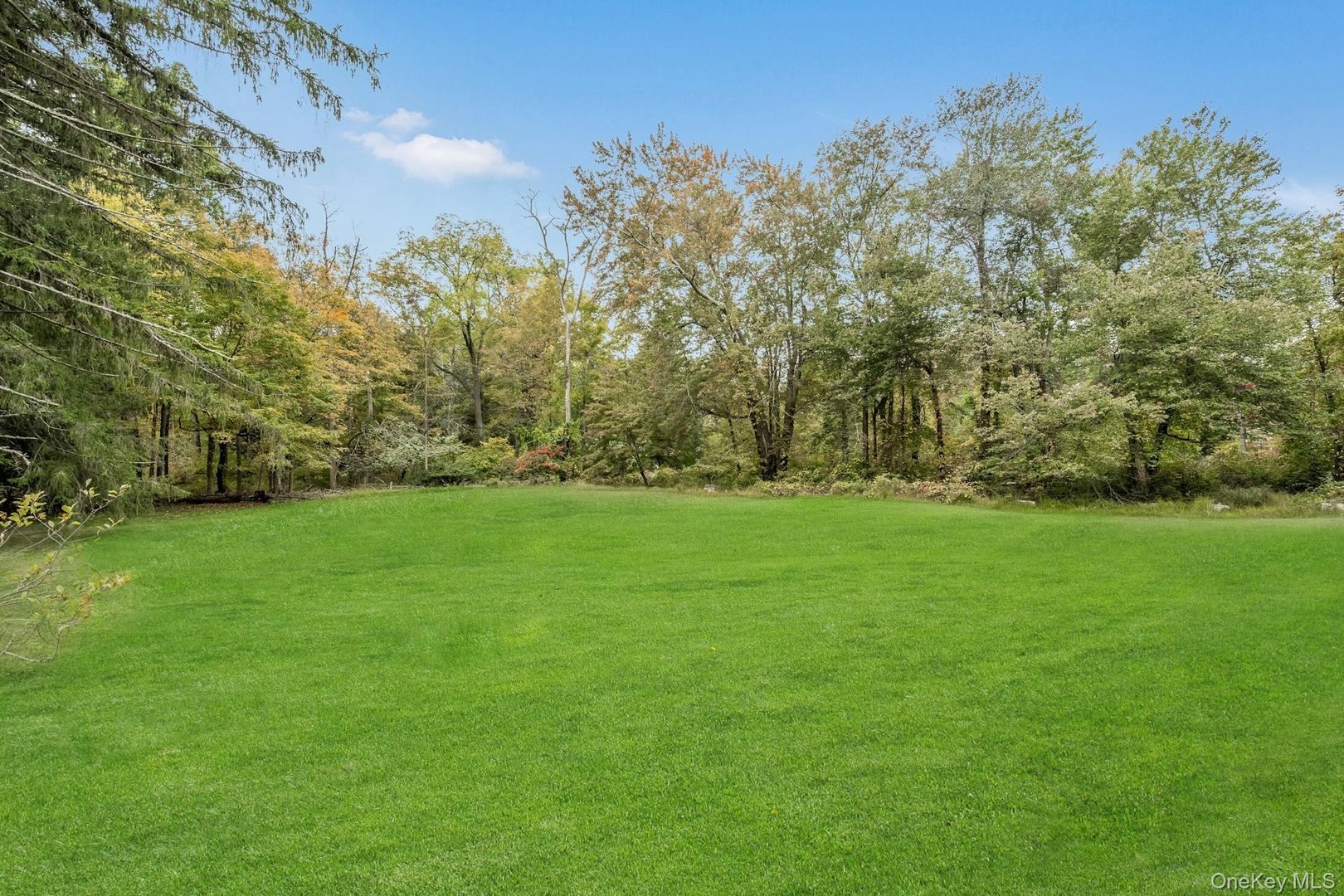 209 Hardscrabble Road Photo 38