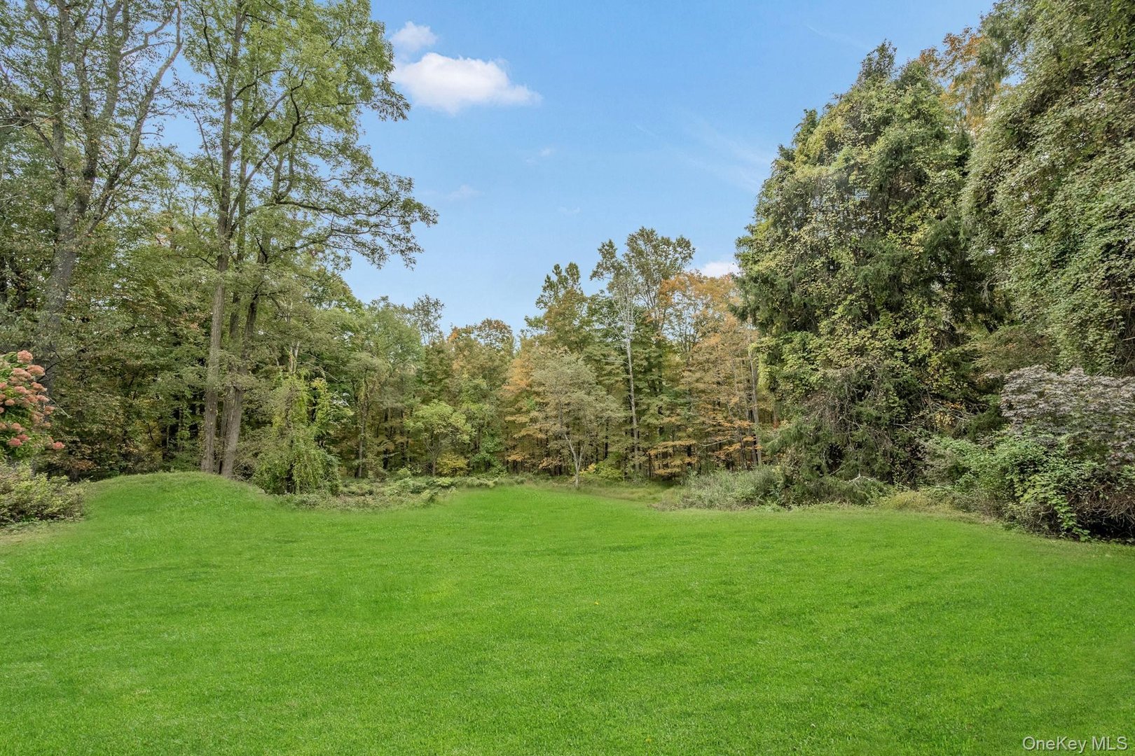 209 Hardscrabble Road Photo 37