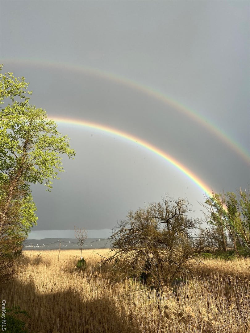 216 Gair Street Photo 36