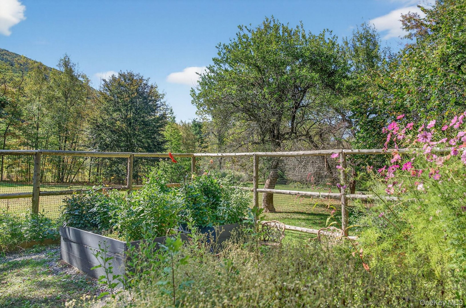 1739 Ny-214 Photo 42