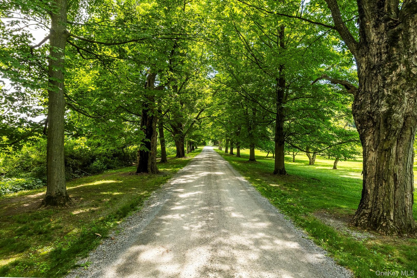 199 Eichybush Road Photo 3