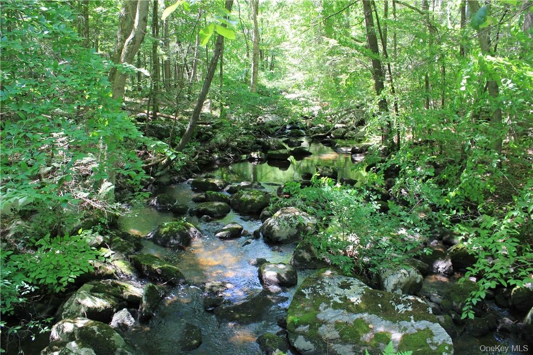 Rolling Meadow Lane Photo 5