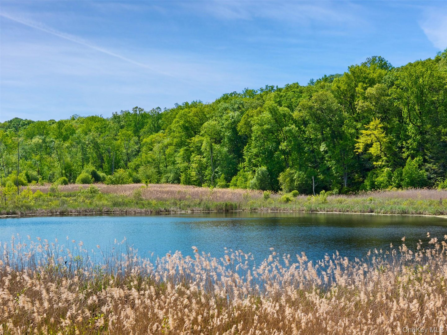 258 Hardscrabble Road Photo 3