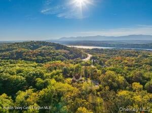 4317 Ny 23 Photo 49