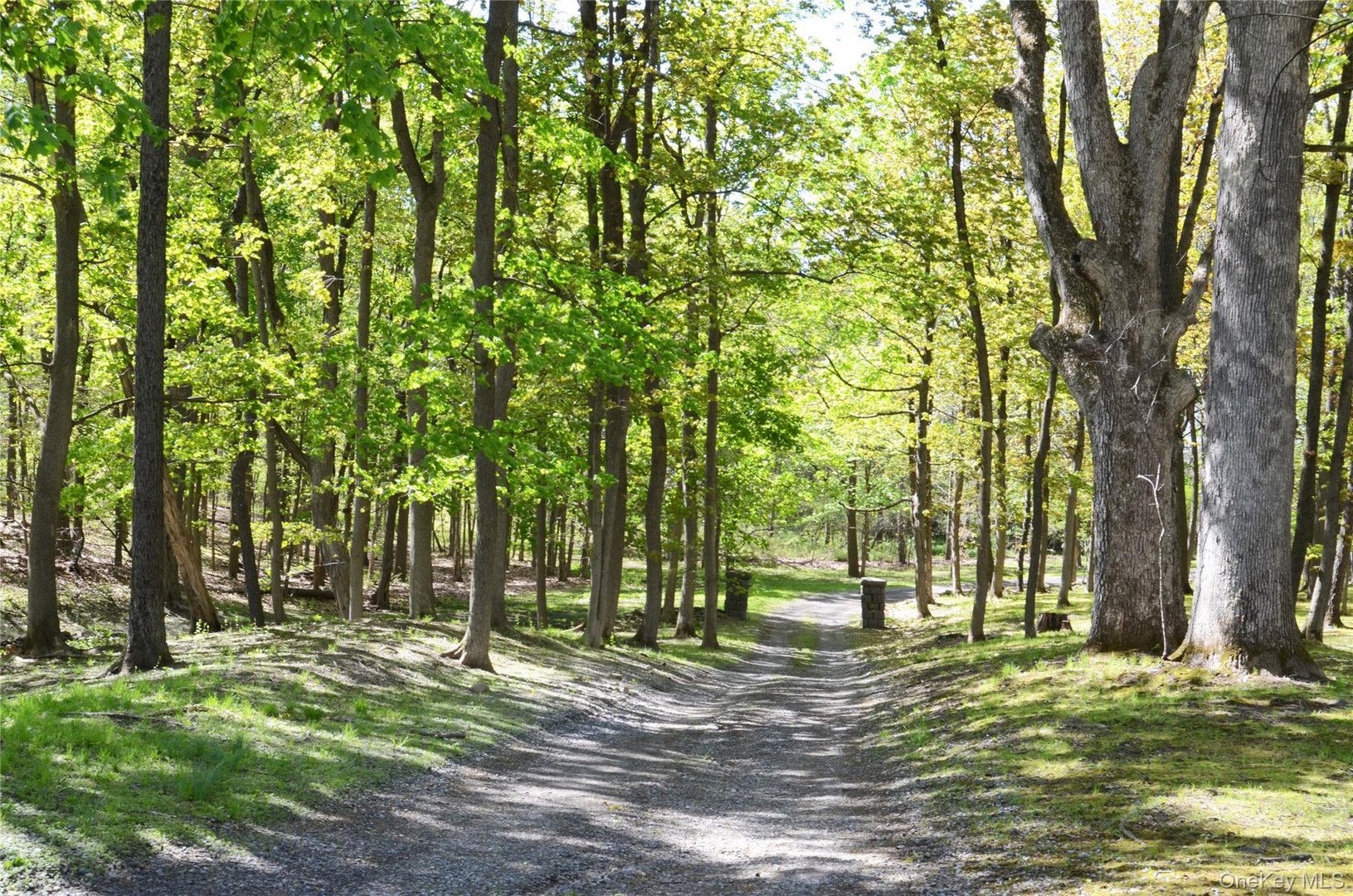 4317 Ny 23 Photo 46