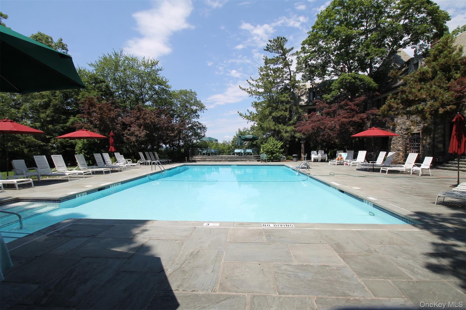 5 Elizabeth Court Photo 32