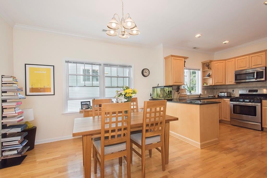 14 Terrace Place  #Apartment B Photo 5