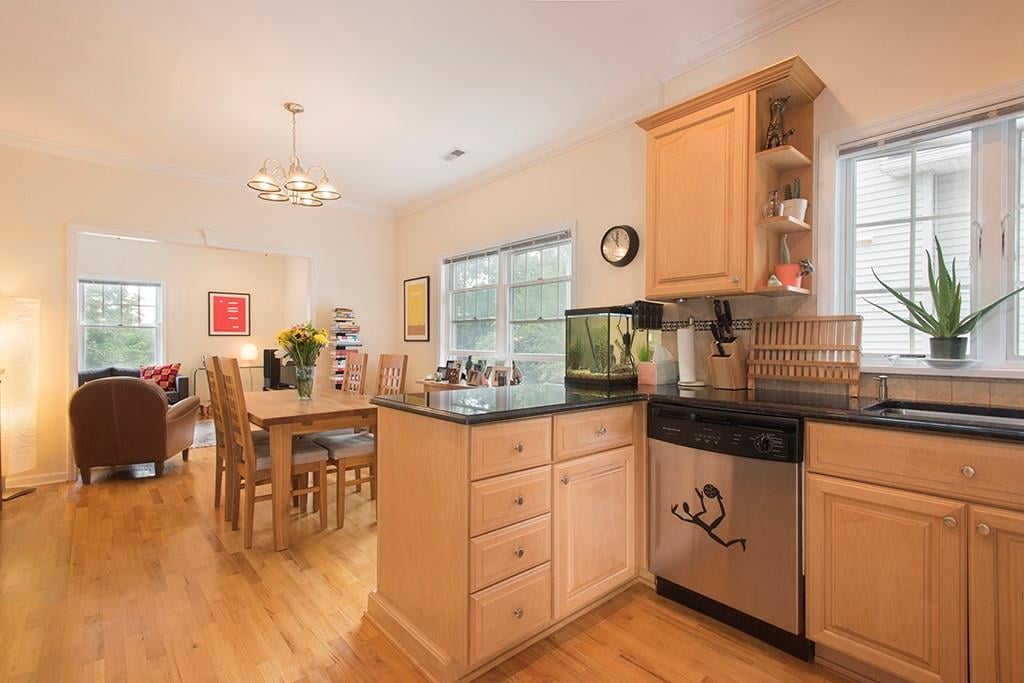 14 Terrace Place  #Apartment B Photo 7