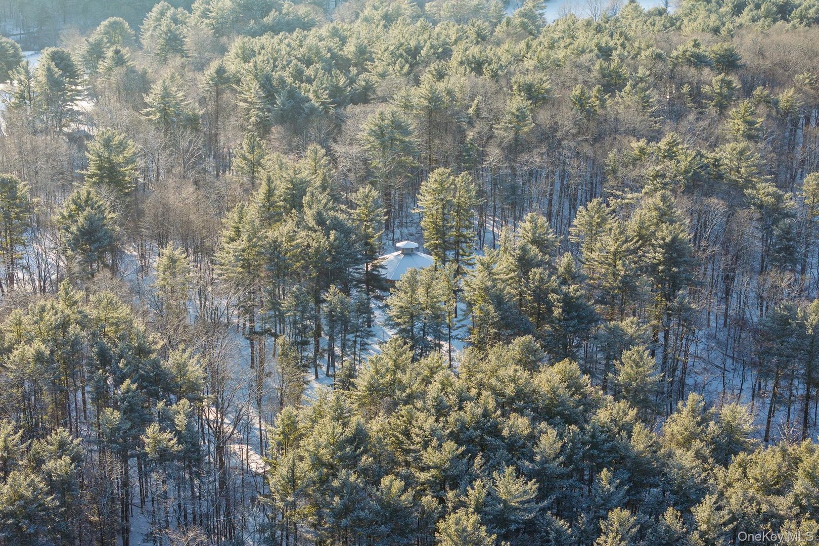 401 Collins Street Photo 26