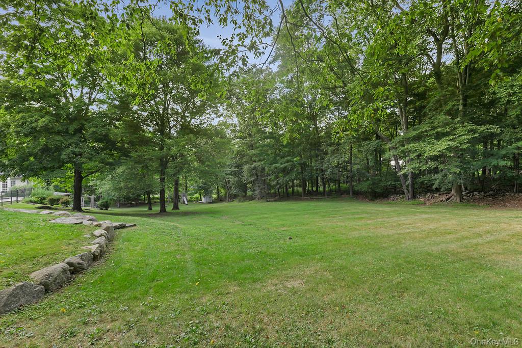 74 Ridgefield Avenue Photo 46