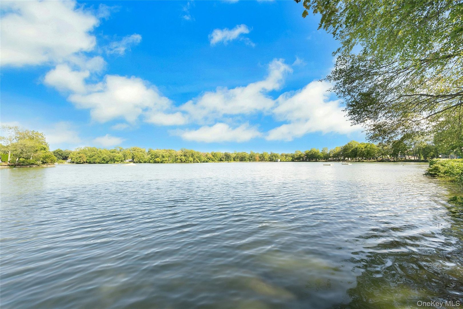 1259 California Road  #2 (C23) #2 (C23) Photo 22