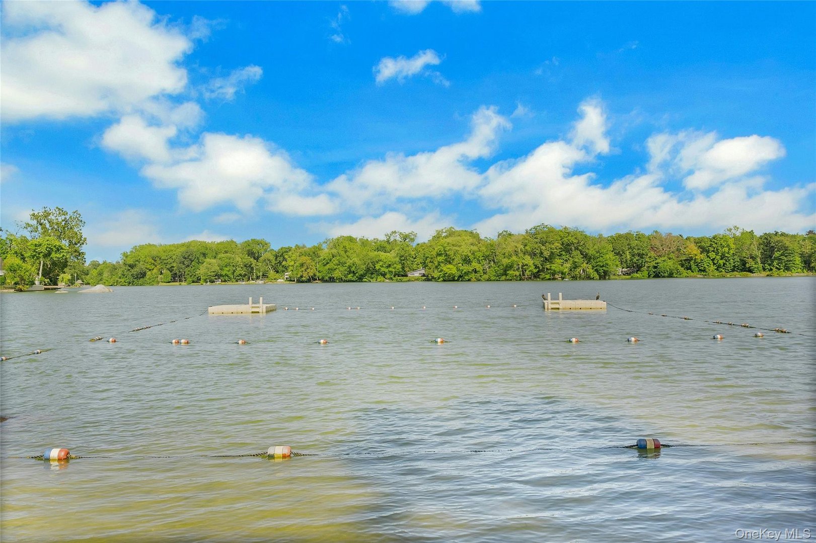 1259 California Road  #2 (C23) #2 (C23) Photo 17