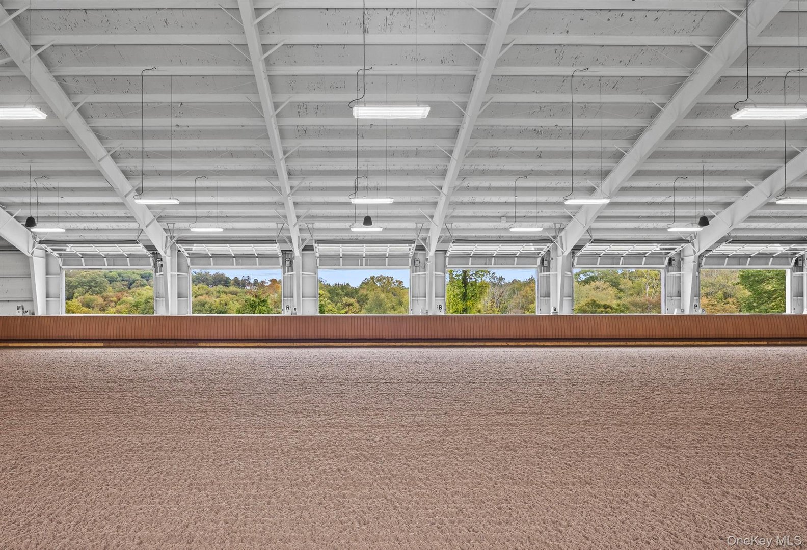 955 Peach Lake Road Photo 8