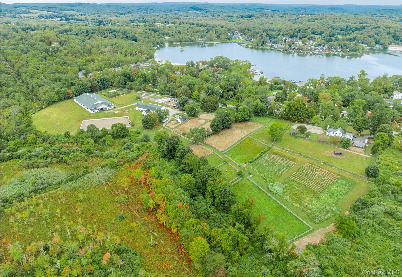 955 Peach Lake Road Photo 3