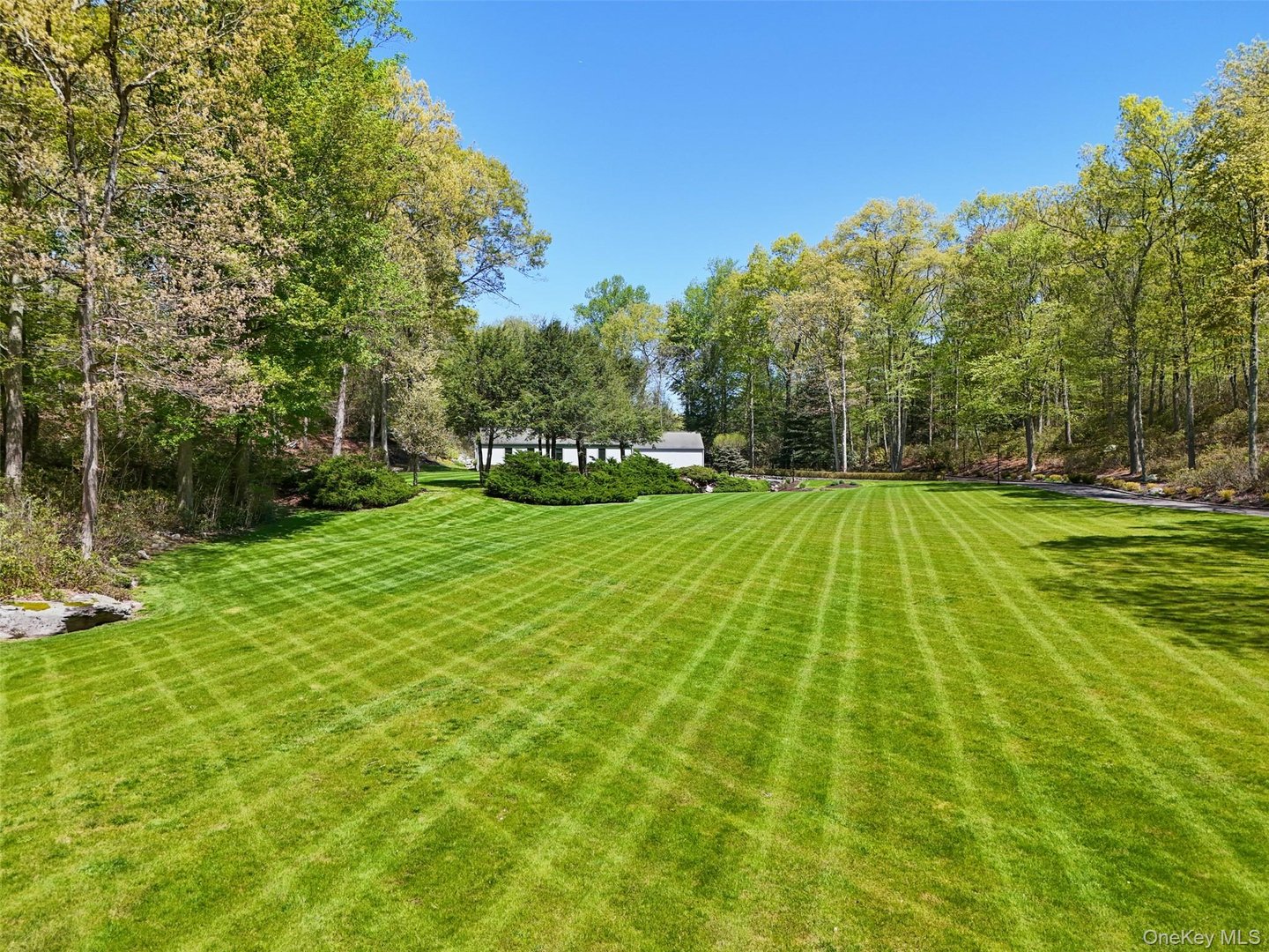 164 Eastwoods Road Photo 44