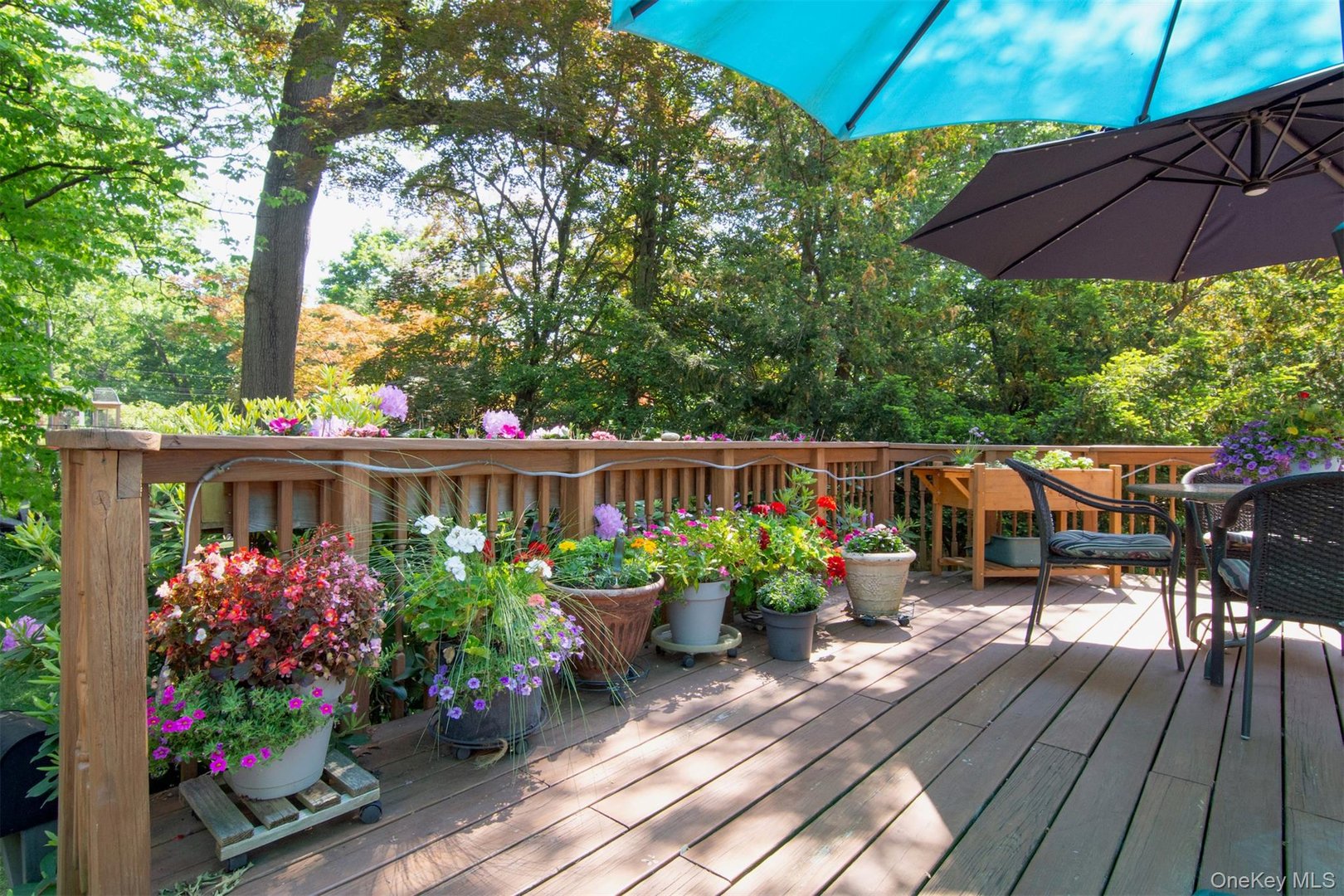 251 Mount Hope Boulevard Photo 37