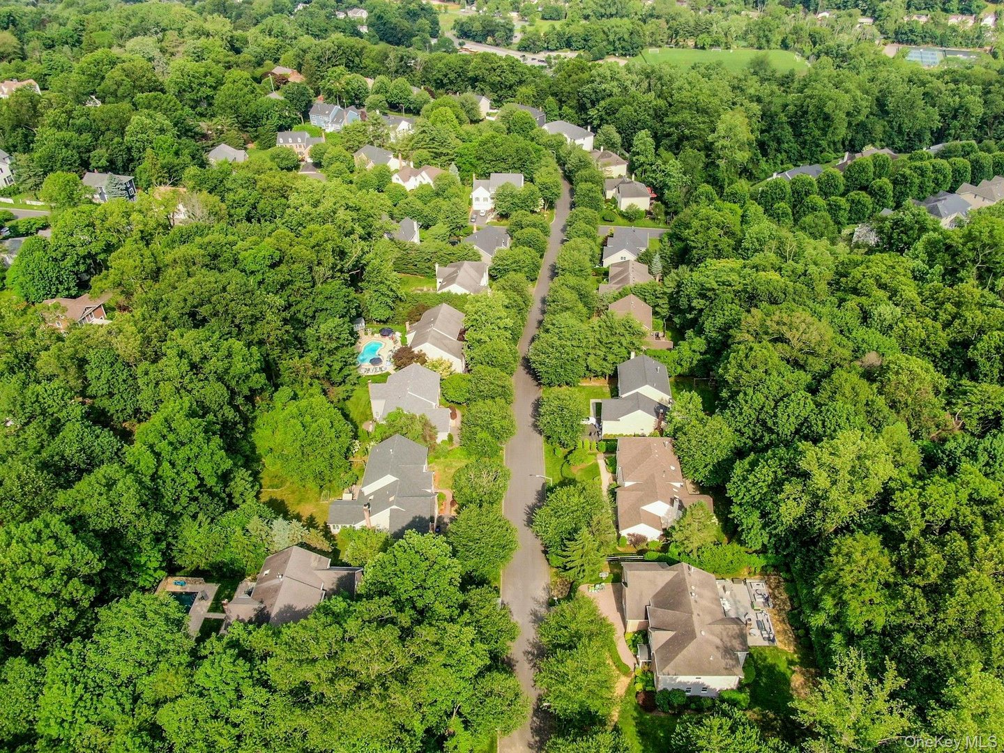 134 Euclid Avenue Photo 48