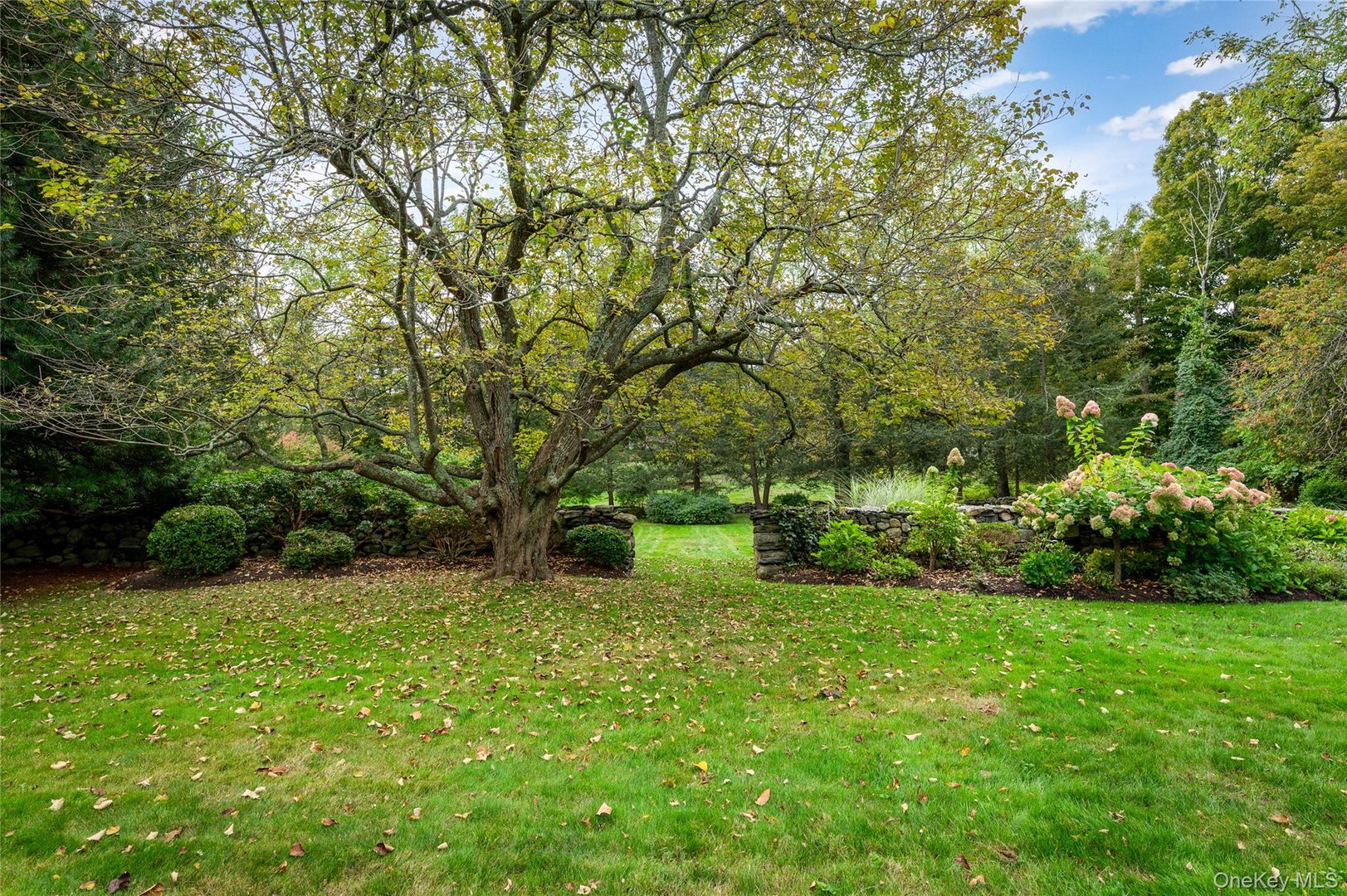 20 Mead Street Photo 30