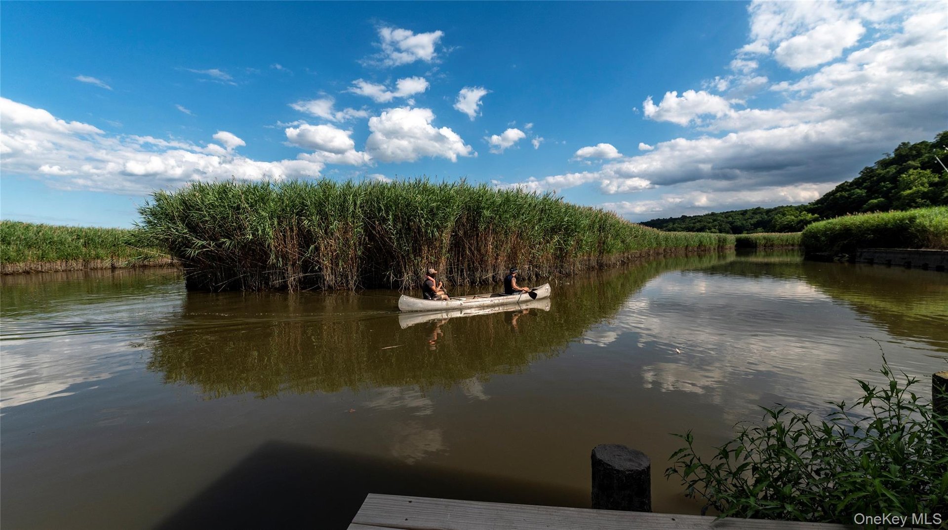 99 Paradise Avenue Photo 10