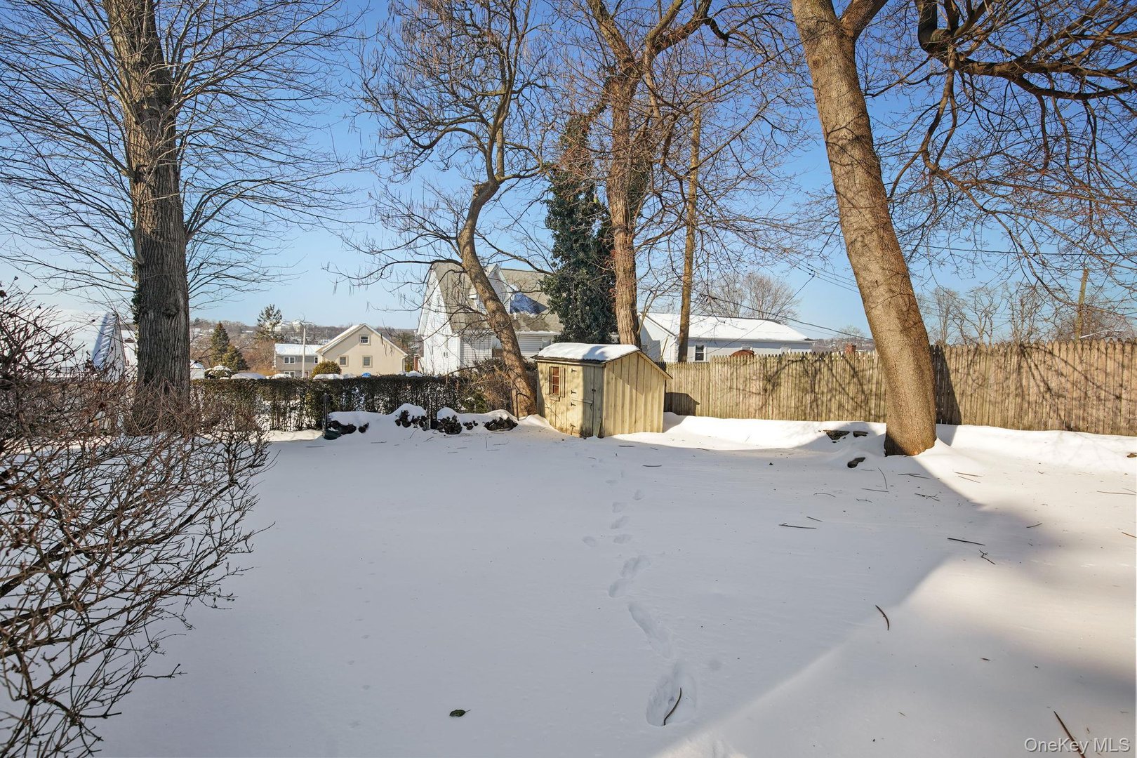 19 Surrey Lane Photo 23