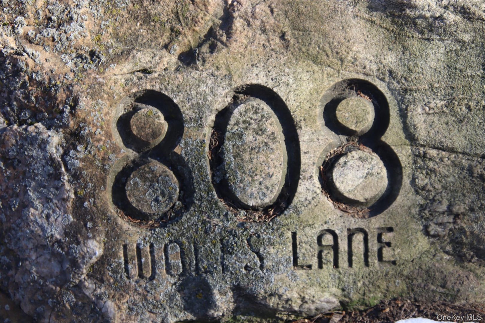 808 Wolfs Lane Photo 2