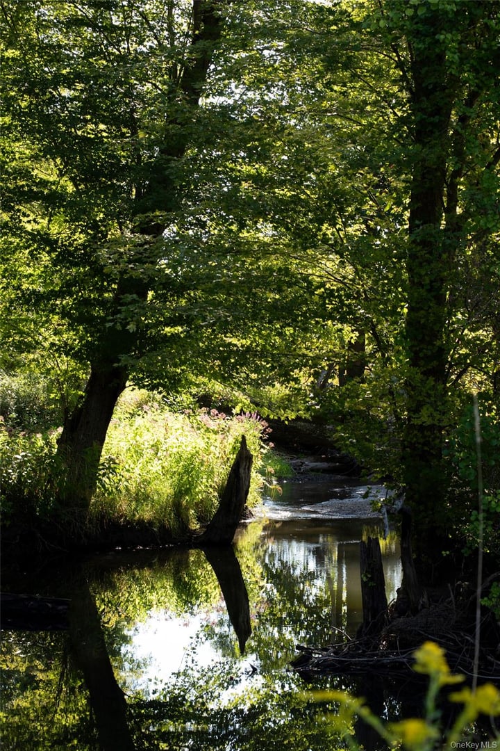 78 Waldorf Ridge Road Photo 15