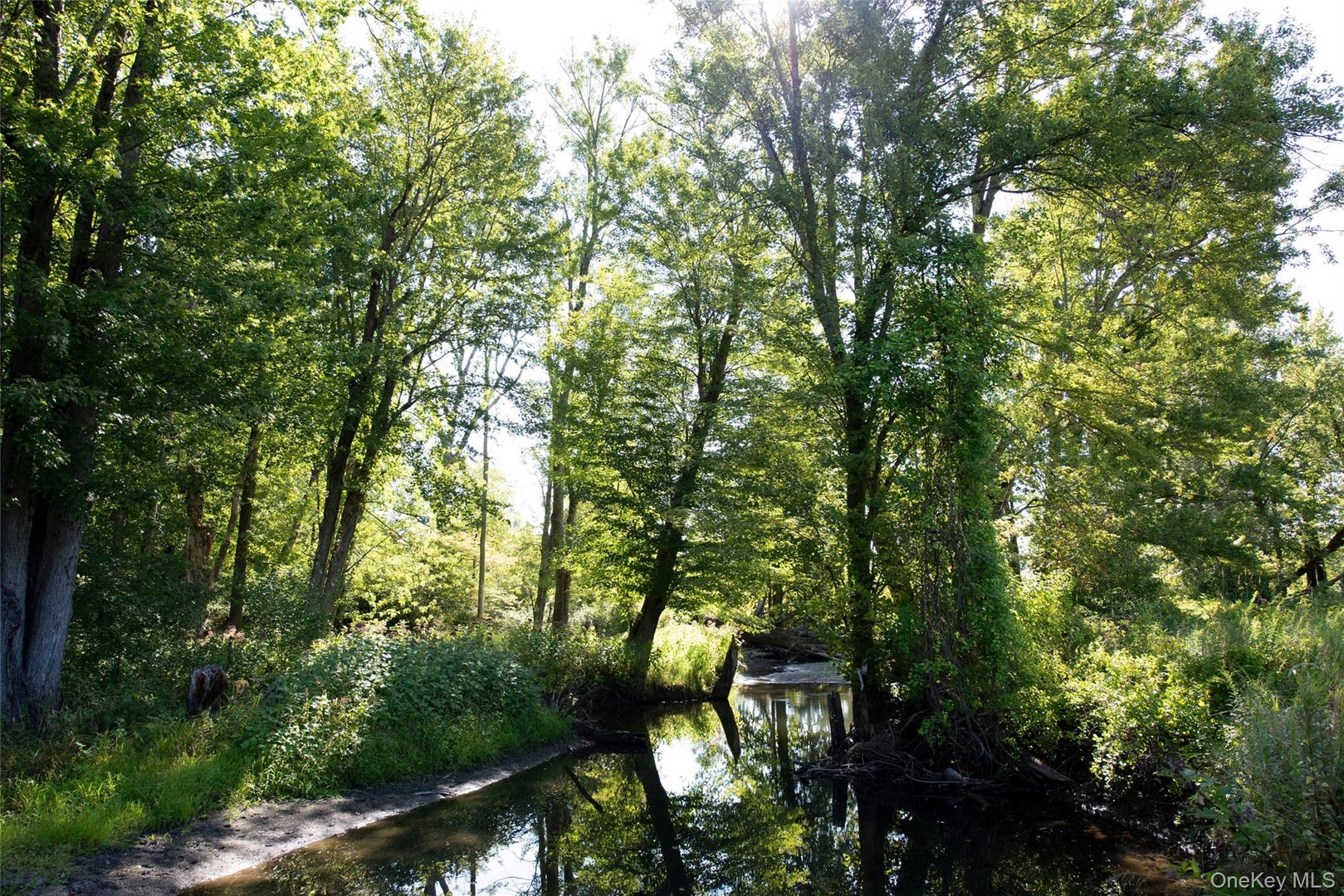 78 Waldorf Ridge Road Photo 49