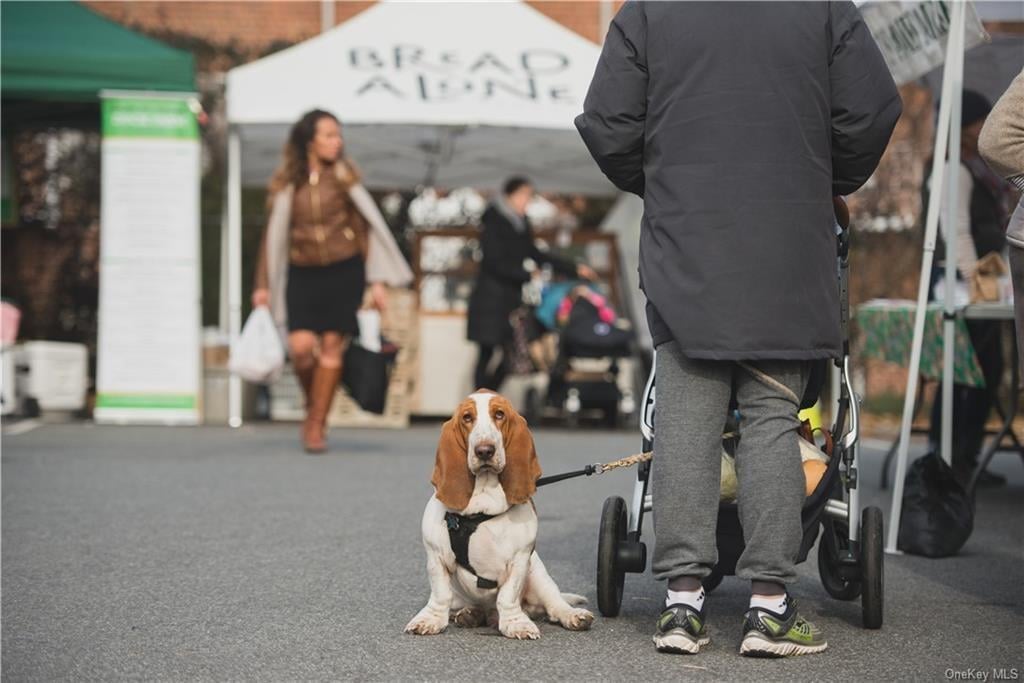 50 Burnside Drive Photo 39