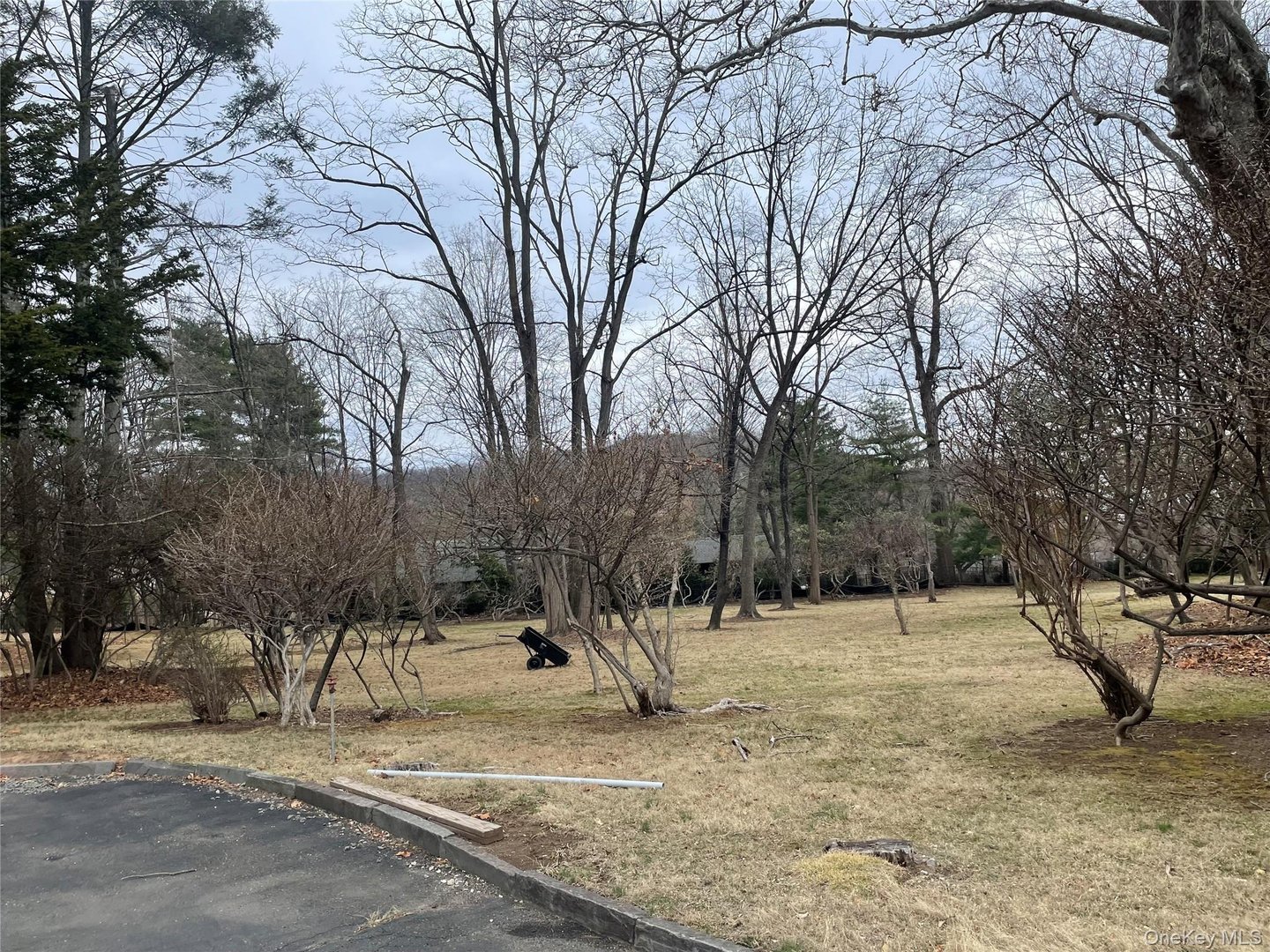 523 N Midland Avenue Photo 8